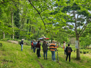 Visite du jardin de thé Filleule des Fées en Bretagne