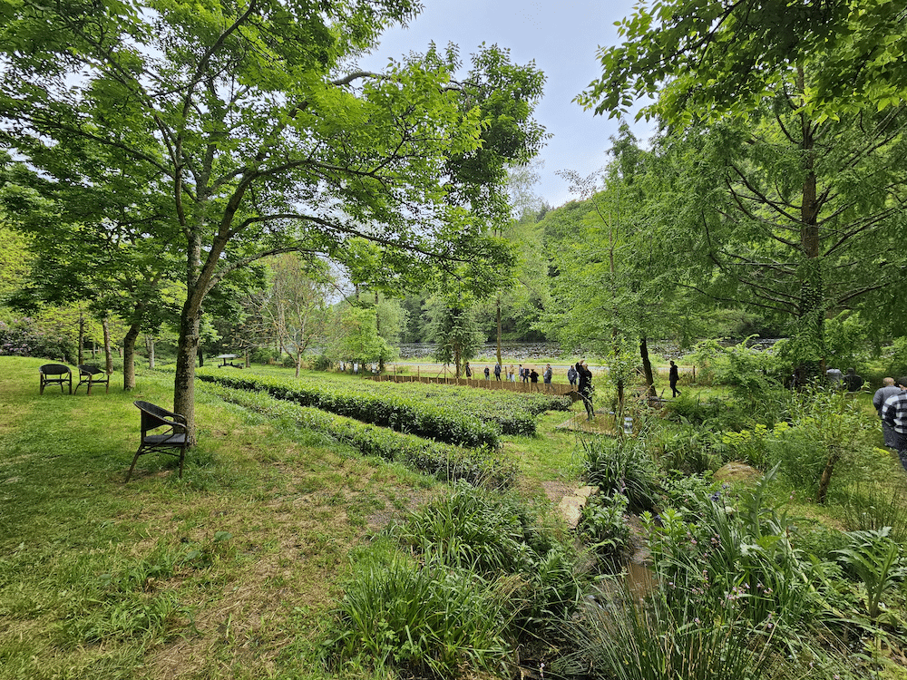 Visite du jardin de thé Filleule des Fées en Bretagne