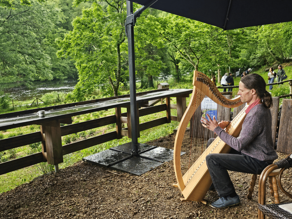 Concert de harpe celtique de Tristan Le Govic dans le Jardin de thé en Bretagne