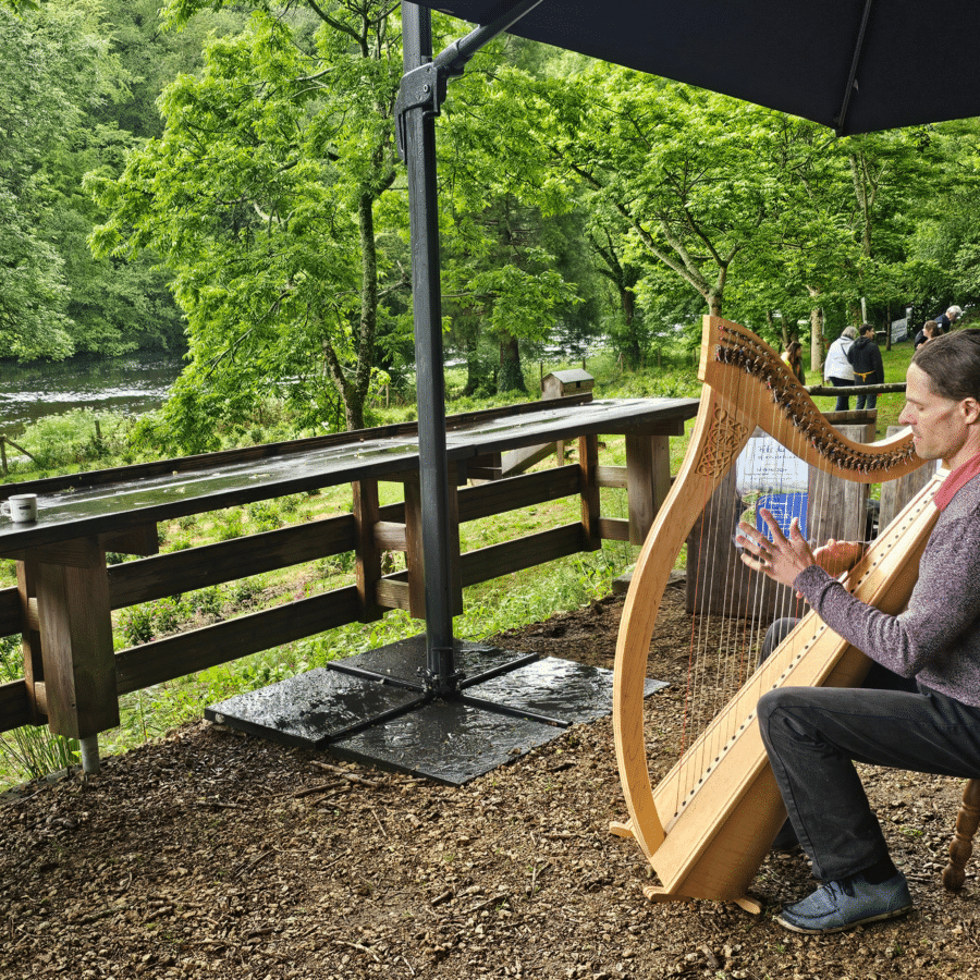 Concert de harpe celtique de Tristan Le Govic dans le Jardin de thé en Bretagne