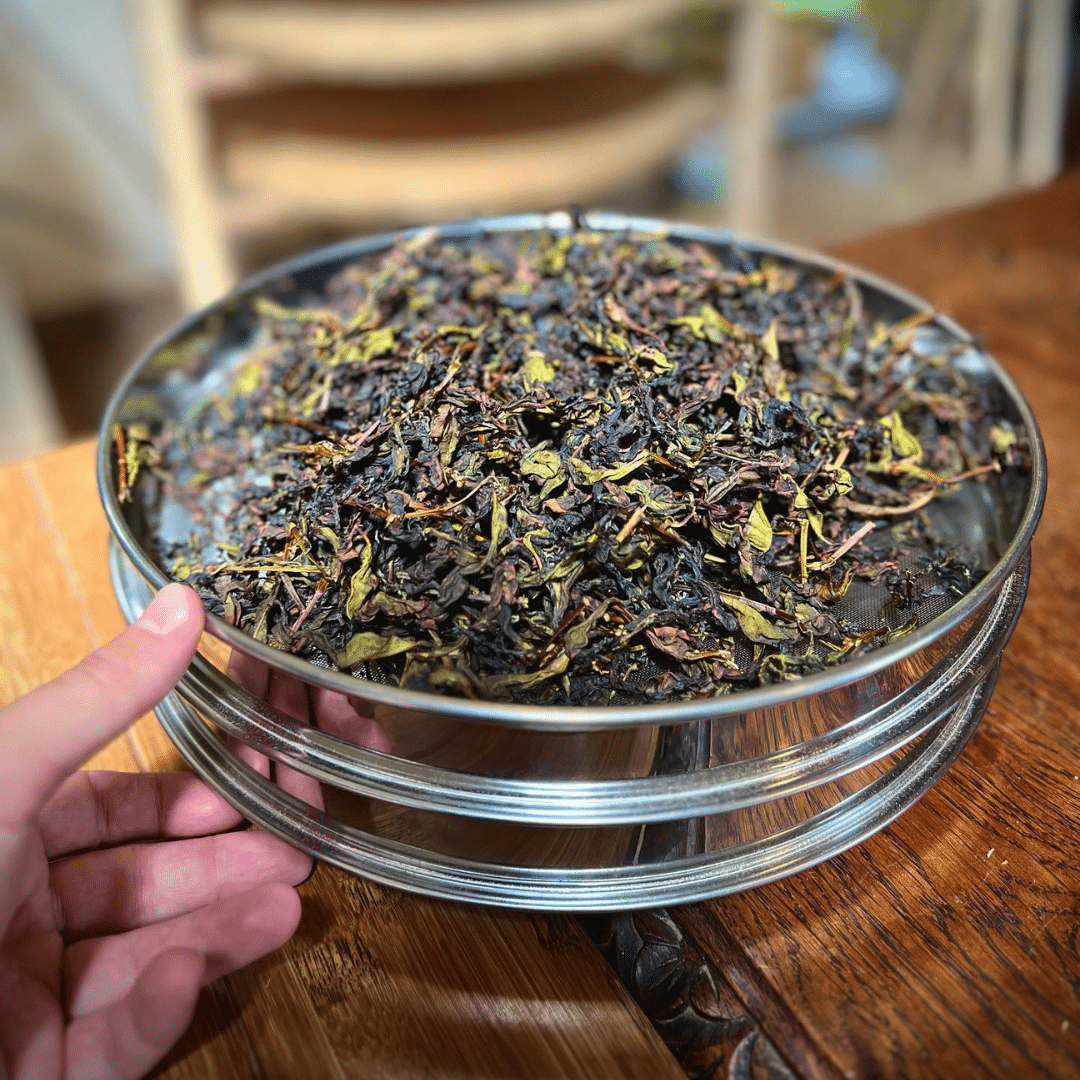 Séchage de feuilles de thé oolong dans l'atelier de Filleule des Fées