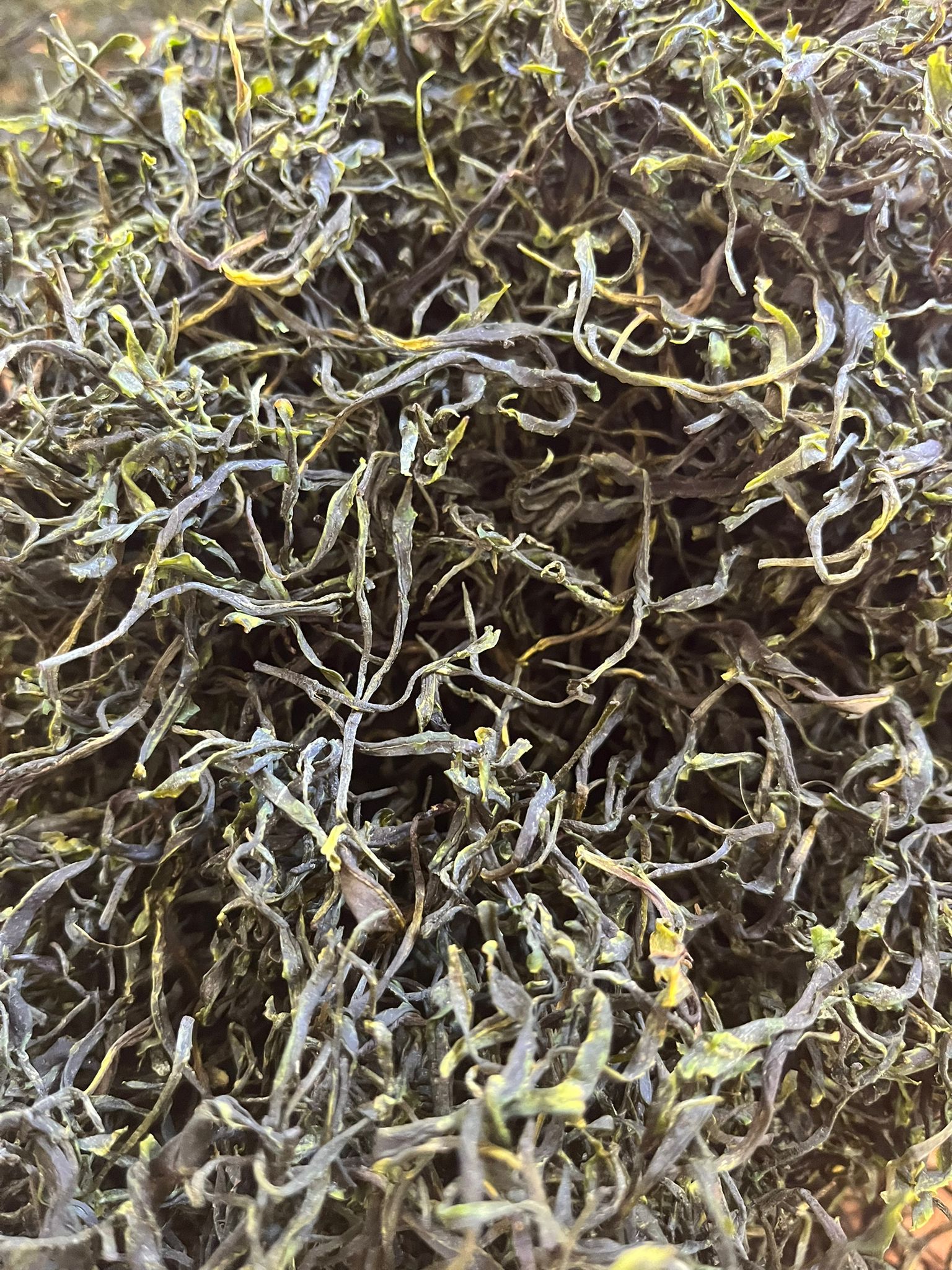 Vert Blavet Longjing Jiukeng- Green Tea from Brittany - Image 3